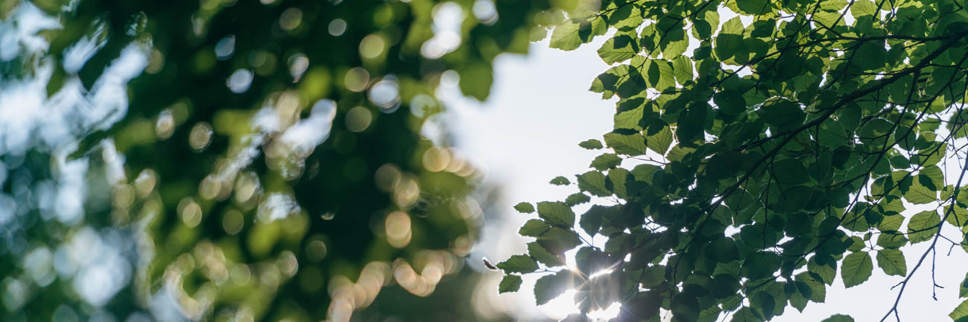 Beteiligung Beteiligung