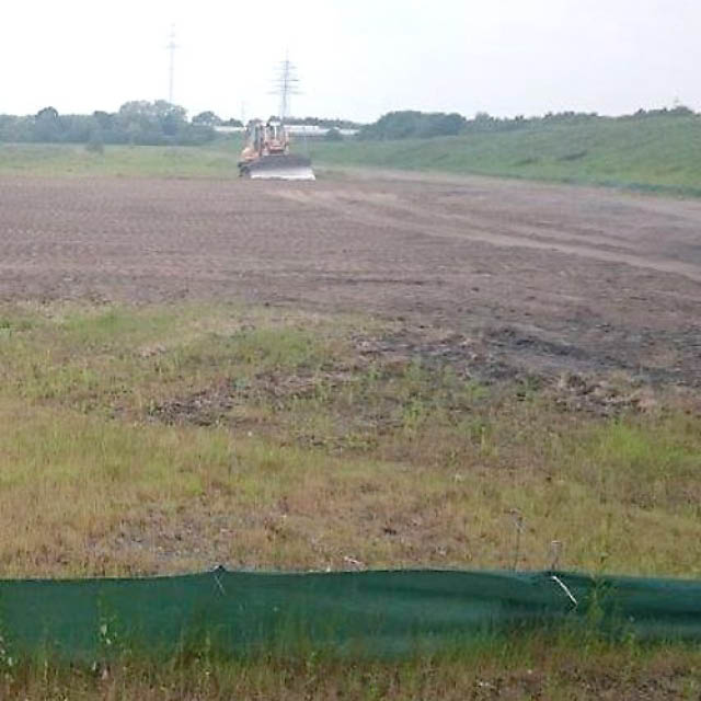 Artenschutz und Umweltfragen in der Projektabwicklung