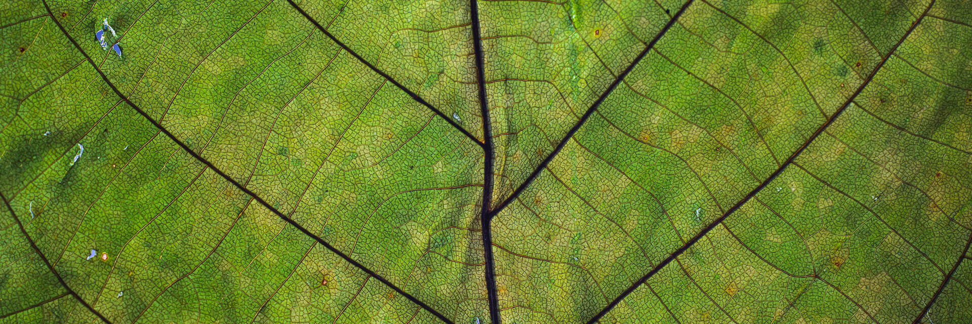 Nachhaltigkeitsstrategie Nachhaltigkeitsstrategie